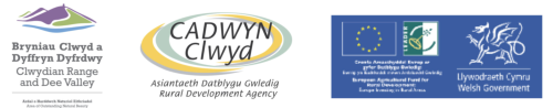 Logos Bryniau Clwyd, Cadwyn Clwyd, Welsh Government